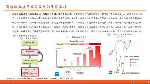 醫(yī)藥行業(yè)深度報(bào)告 高尿酸血癥與痛風(fēng)行業(yè)全景及國(guó)內(nèi)貿(mào)易代理前景